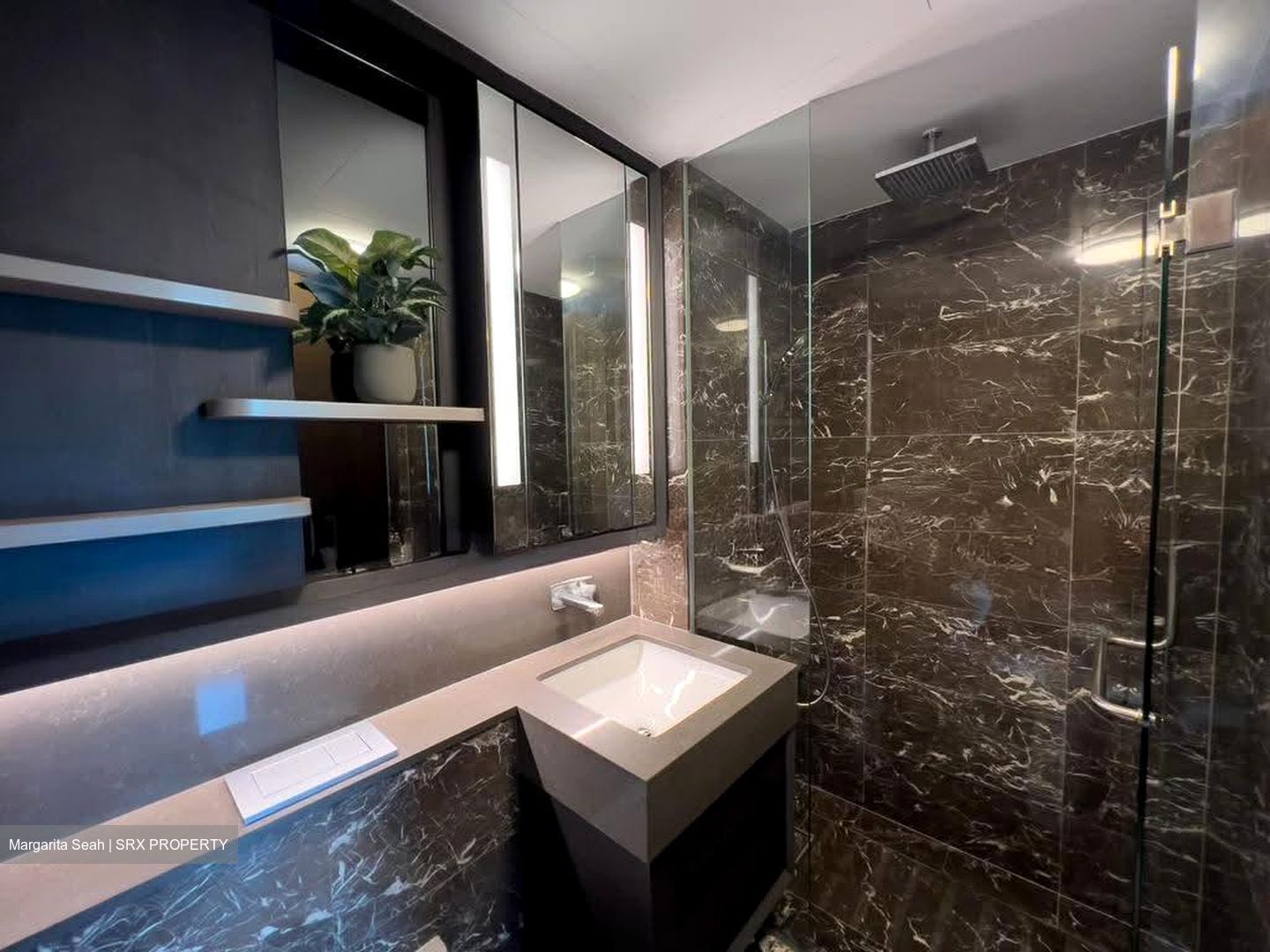 Neu At Novena (D11), Apartment #614778321